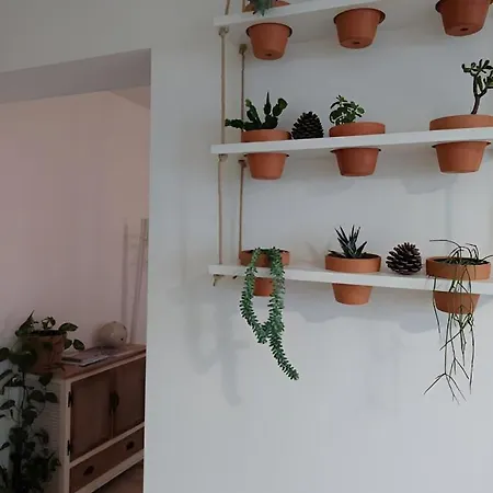 Blue Vista Apartamento