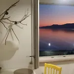 Blue Vista *