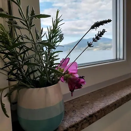 Blue Vista Apartment